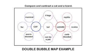 Double Bubble Map