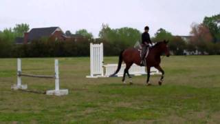 Loralyn riding Royal Suitor (AKA Floyd)