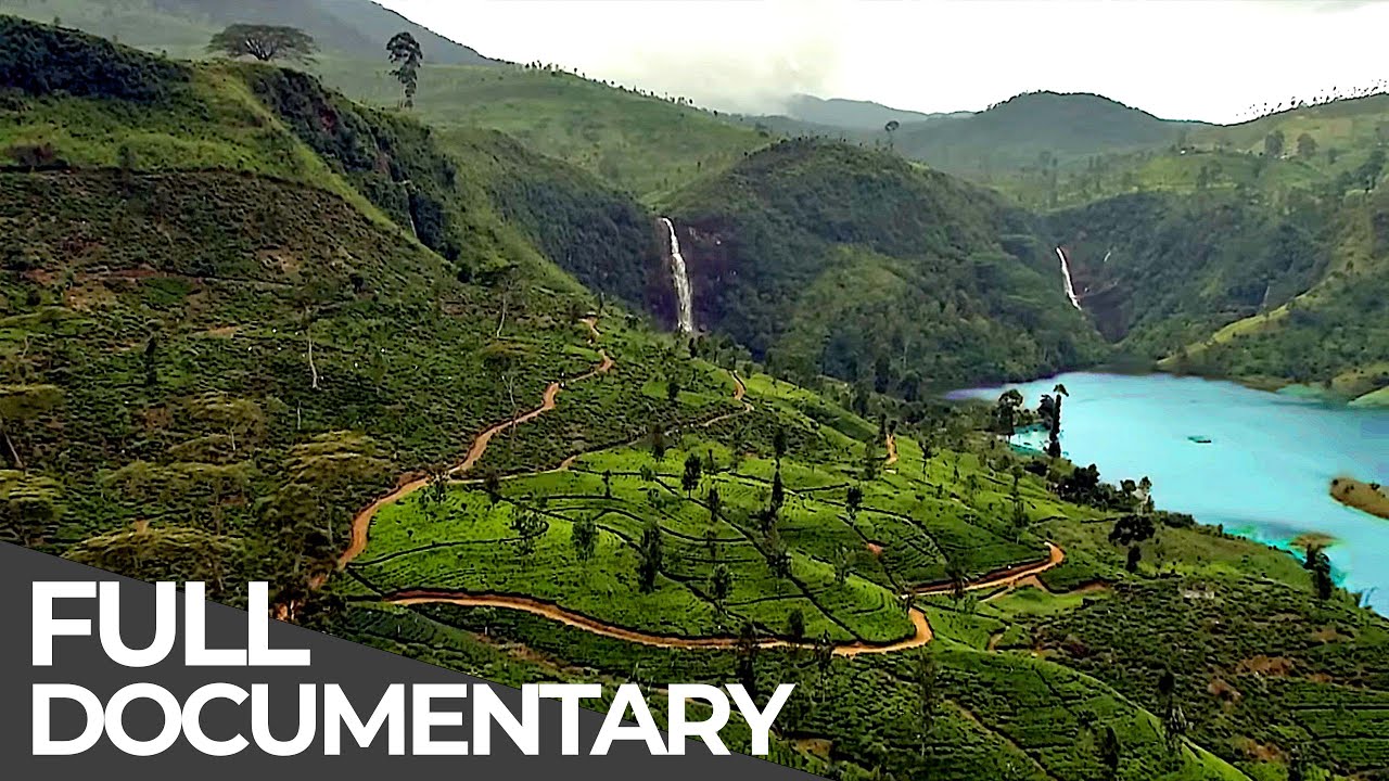 ⁣Amazing Quest: Stories from Sri Lanka | Somewhere on Earth: Sri Lanka | Free Documentary