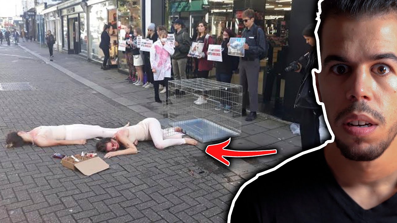 النباتيين  !!!