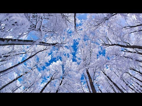 СНЕЖНЫЙ ВАЛЬС -
