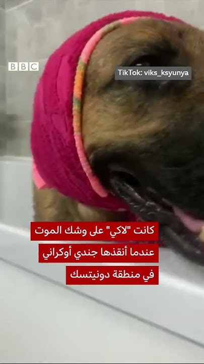            
 - نشر قبل 32 دقيقة