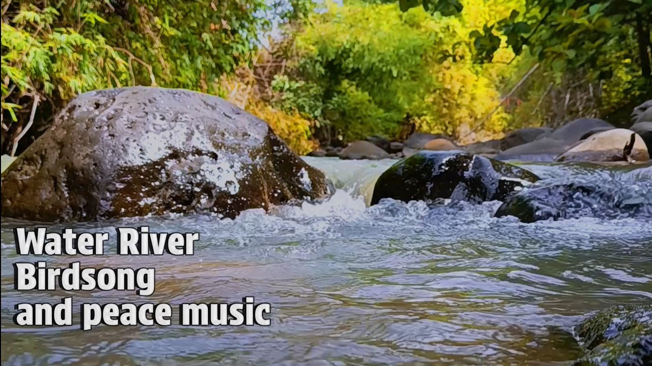 A Moment of Peace | Symphony of the Wild (Ambient Nature Sounds)