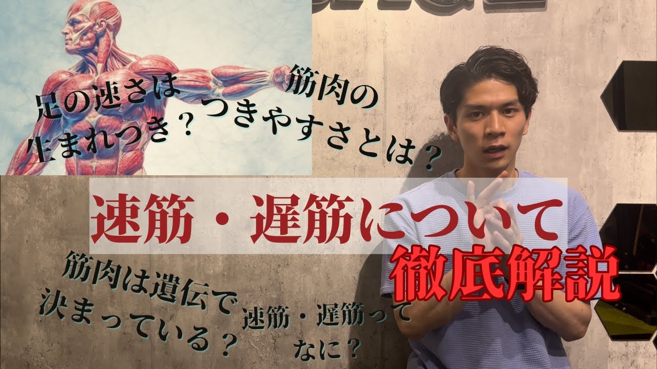 【知ってるだけで差がつく】速筋・遅筋は増えるのか？徹底解説！