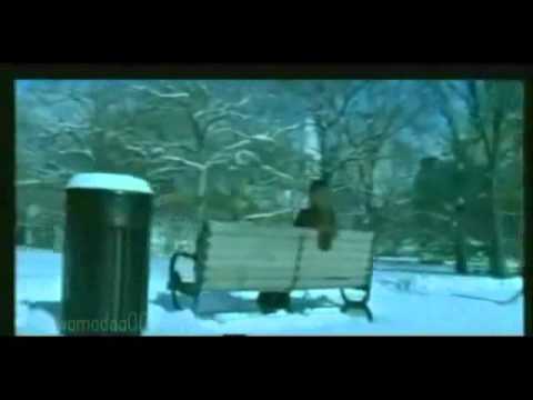 تامر عاشور ليالي عزابي