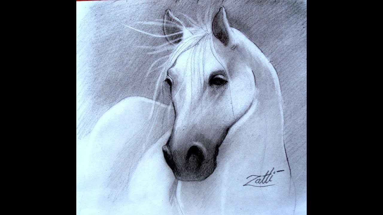 Como Desenhar um Cavalo Realista (com Imagens) - wikiHow