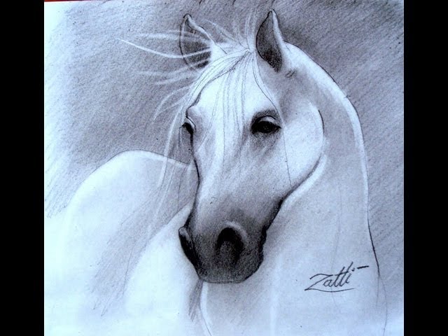 Como desenhar um Cavalo realista PASSO A PASSO narrado 