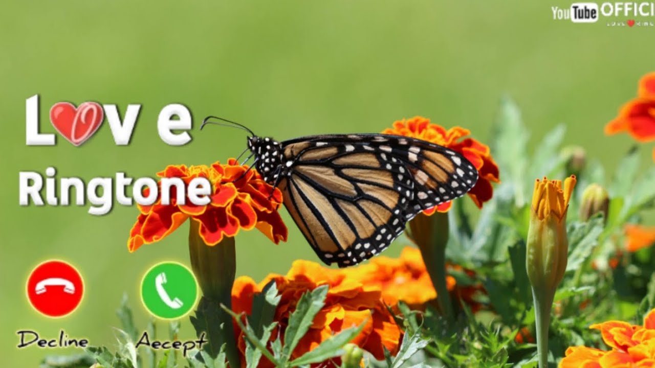 Butterfly 🦋 viral ringtone ♥️ please subscribe to my channel ️ YouTube