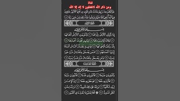 سورة الزلزلة ياسر الدوسري