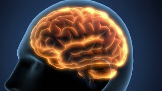 Brain mapping may help with brain injuries behavioral problems, autism