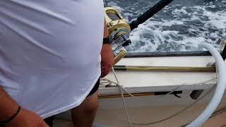 Bluefin tuna -Hong Long we Got!? 8-6-2020