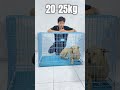 Chuồng thú cưng loại dày!