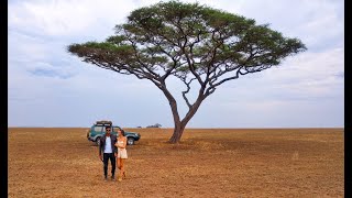 Best safari travel video in Tanzania