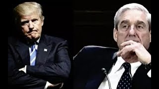 President Trump Makes A Pivotal Move That Proves He Has Nothing To Hide From Mueller