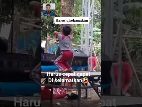 Video: Apa itu tulang lunak?