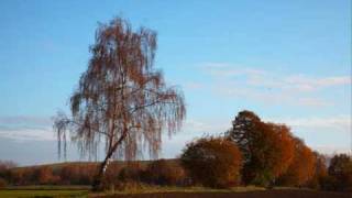 Video thumbnail of "Autumn - original song by Larry Brewer, recorded 1990"