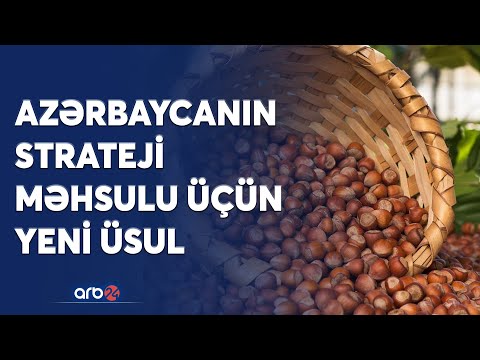 Video: İtiniz üçün Yetişdiriləcək Bitkilər: İtlərin Yediyi Meyvə və Tərəvəzlər Haqqında Öyrənin