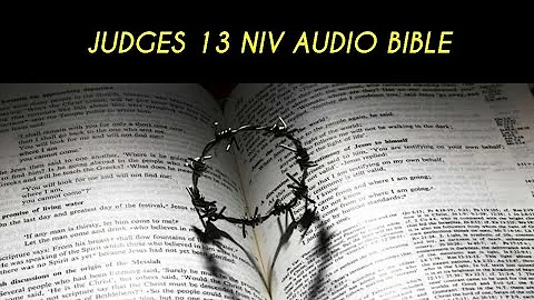 JUDGES 13 NIV AUDIO BIBLE (with text)