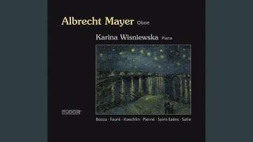 Oboe Sonata in D Major, Op. 166: II. Ad libitum - Allegretto - Ad libitum