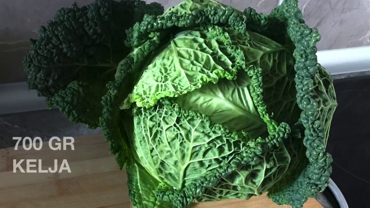 Posni kelj -vegan kale Najukusniji recept za pripremu kelja