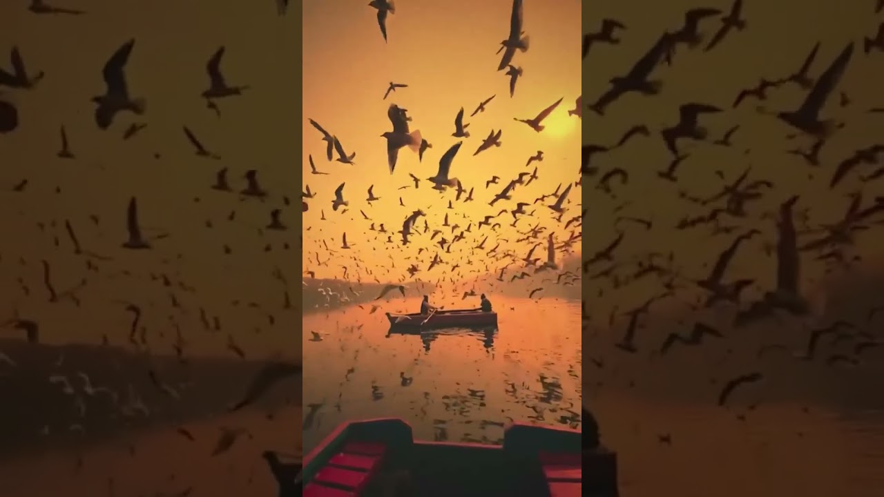 Nature love🤗🫶💕alone life whatsapp status video 💖