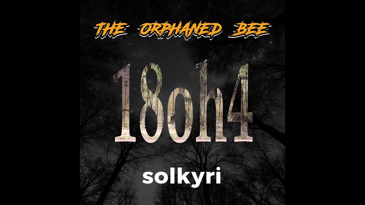 Guarda The Orphaned Bee // Solkyri - 18oh4 su YouTube Guarda The Orphaned Bee // Solkyri - 18oh4 su YouTube