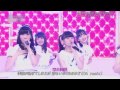 AKB48 Labador Retreive