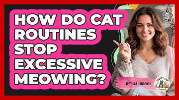 How Do Cat Routines Stop Excessive Meowing? - Happy Cat Handbook