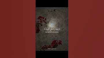 { يا حسرة على العباد } سورة يس🤍                   #اكتب_شي_تؤجر_عليه #قرآن #سورة_يس 💙🌱