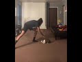 Pet Rabbit Hits Back At Woman Play Fighting With Her 1434984 