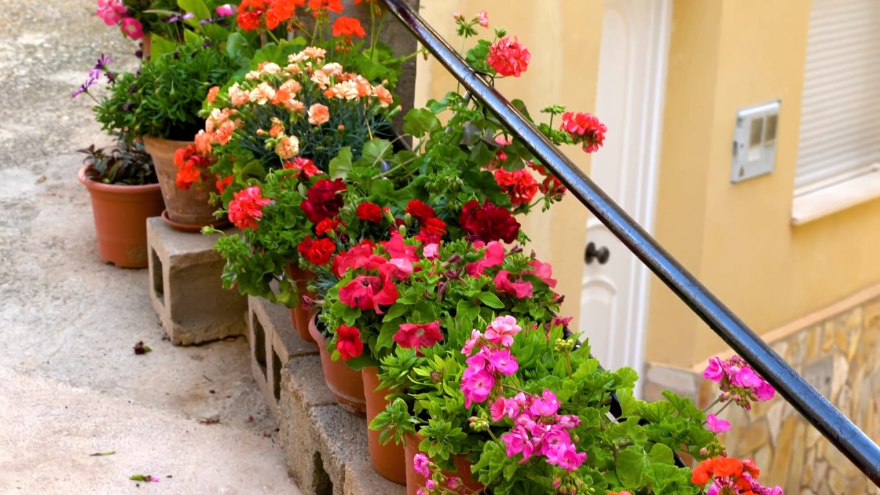 Prueba-review sony A7III & Tamron 28-75mm F/2.8 Di III RXD