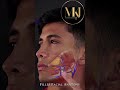 Filler Facial Anatomy