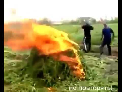 რა დაემართა პოლიციელს მარიხუანას დაწვის დროს