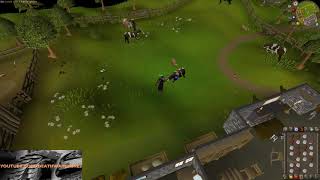 Combat Against Cows for Hides and Beef in Old School Runescape