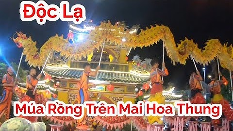 Mừng Tết Nguyên Tiêu 2023 - Hàng Ngàn người đổ Về Bình Dương đi chùa được xem Múa Lân Sư Rồng