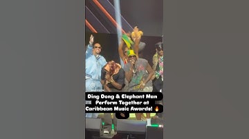 Ding Dong & Elephant Man Perform Together at Caribbean Music Awards! 🔥👏🏽#dance #dancehall #hiphop