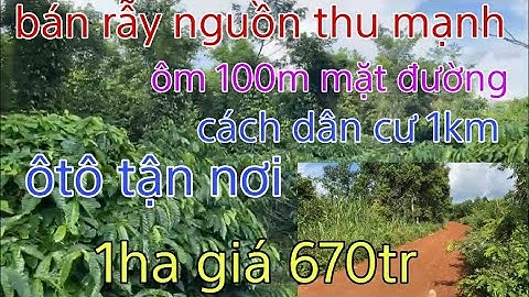 (Đã bán)Nhà đất đăk nông cần bán gấp rẫy cà phê xen tiêu. Nguồn thu mạnh.Cách dân cư 1km.Oto tận nơi