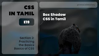 E19: Box Shadow | Practicing the Basics | CSS In Tamil