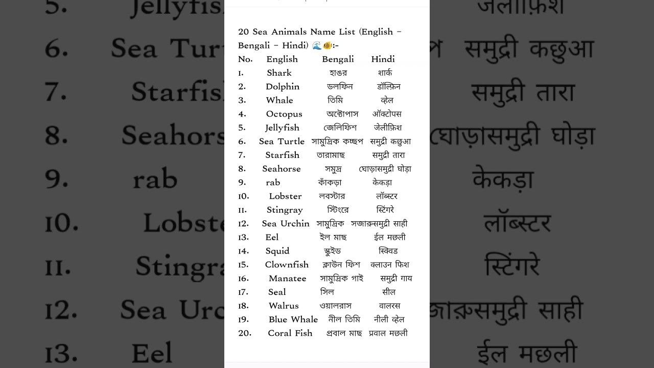 Sea Animals Name List 