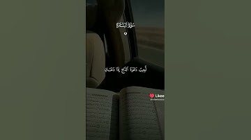 #القران #تلاوة_خاشعة #اكسبلور #المصحف #دويتو #الرحمن #لايك