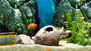 My virtual fish - IQuarium | Relax Game screenshot 1