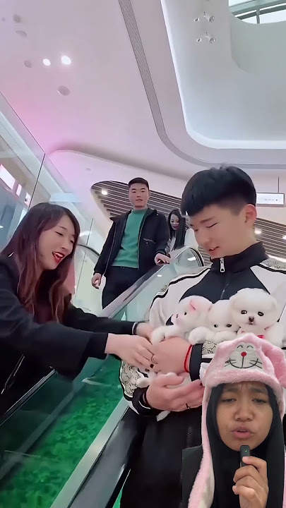Yah kasihan kucing ku dilantarkan oleh wanita itu #short #funny