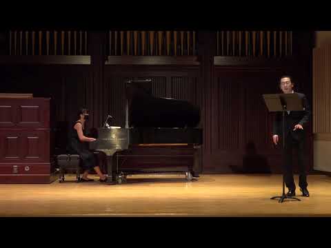 Franz Schubert - Erlkönig, Op  1, D 328