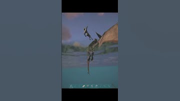 All On A Raft! - Ark #Shorts