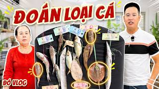 Trò Chơi Đoán Đúng Tên Các Loại Cá Trong Chợ Có Trên Bảng Vui Nhộn | Đỏ Vlog screenshot 1