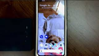 Join Bb Collaborate from Your Phone