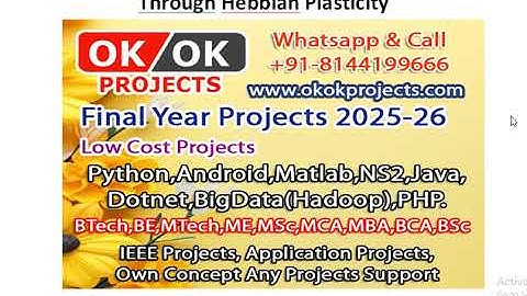 Memory Dependent Computation and Learning in Spiking Neural Networks Through Hebbian Plasticity