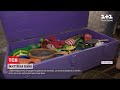 Іграшки в ящиках з-під снарядів: яке дитинство запам'ятають дітлахи з Луганської області