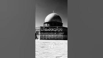 سورة المائدة #قرآن_كريم #تلاوة_خاشعة #تلاوة_هادئة
