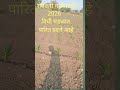 🌾 महाराष्ट्र शेतकरी कर्जमाफी 2026 – शेतकऱ्यांसाठी दिलासा, शेतीसाठी नवी आशा! #farming